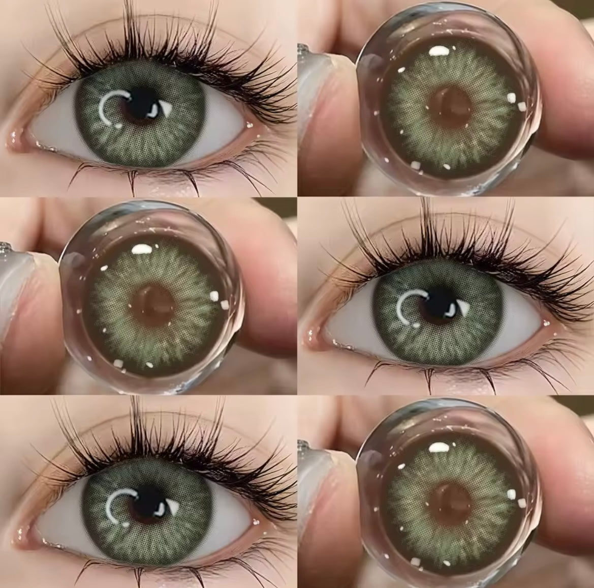 Colored Lenses | Marsala Green