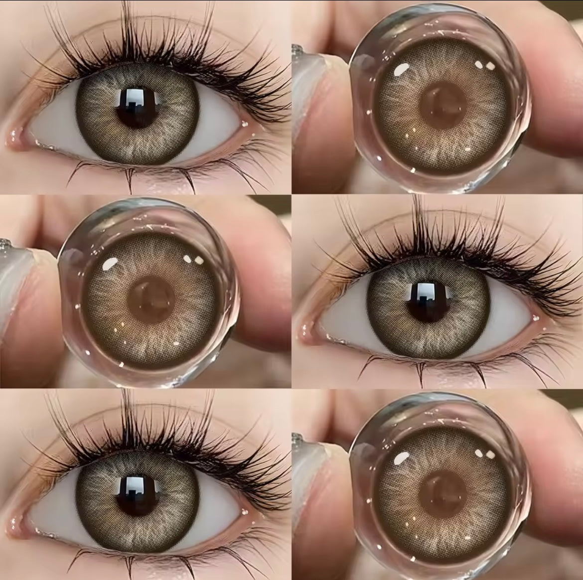 Colored Lenses | Cleopatra Brown